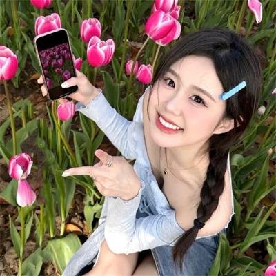 月季花开
