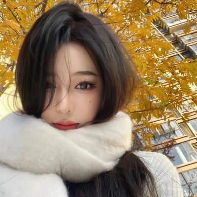 布霍费尔：仁慈的特工